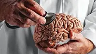 از این عوامل دوری کنید تا مغزتان کوچک نشود