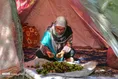 گردوچینی