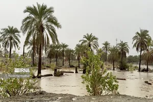 آماده باش سلامت خوزستان در برابر ال نینو