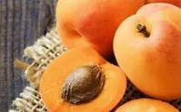 مصرف زرد آلو مفید برای روزه داران