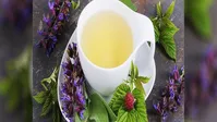 دمنوش‌هایی که در پاکسازی کلیه‌ها حرف اول را می‌زنند