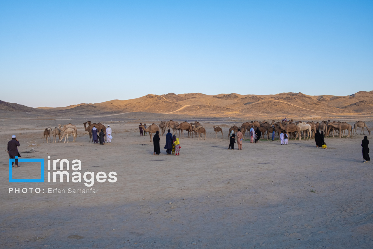 سیستان و بلوچستان