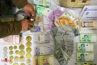 دستگیری سارق میلیاردر در مخفیگاهش+عکس