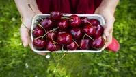 میوه‌ای برای مقابله با کم خوابی که دیورتیک طبیعی است