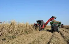 کار در گرمای جنوب با حقوق ۱۵ میلیونی!