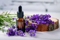 این گیاه معجزه ای برای بیماران دیابتی