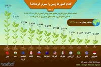کدام کشورها زمین را سبزتر کرده‌اند؟+اینفوگرافی