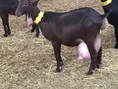 254