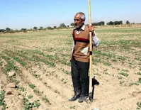 آب نرسید، اراضی زیر کشت گندم در شرق اصفهان از بین رفت