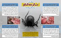 ابتلای دو نفر به بیماری «تب کریمه کنگو» در اردبیل| فوت یک نفر