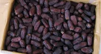 ۳ خرما در روز و ۶ اثر مفید برای بدن