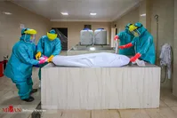 نرخ مرگ کرونا در ایران به ۶.۵ درصد رسید