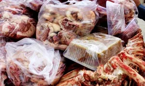 کشف بیش از ۶۰۰ کیلوگرم گوشت فاسد در یکی از دانشگاه‌های خراسان جنوبی