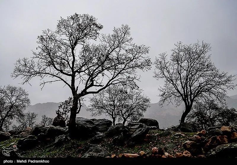 زاگرس