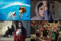 پسر دلفینی با سر به زمین خورد