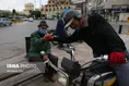 تالبی
