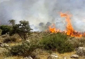 کوهمره شیراز همچنان می سوزد