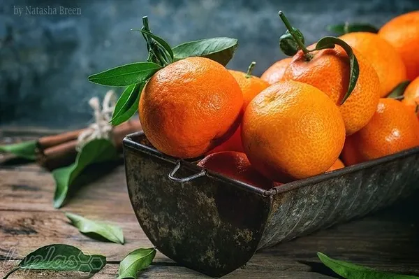 آب پرتقال
بر اساس جدیدترین مقاله ی منتشر شده در دیلی میل کارشناسان با مطالعه بر روی افراد سالمند دریافته اند مصرف مرکبات بویژه آب پرتقال طبیعی می تواند سبب افزایش قدرت حافظه در آنها شود. 

 بررسی ها نشان می دهند، دانشمندان اعتقاد دارند ماده شیمیایی مشهور به فلاونوئیدها در پرتقال می تواند سبب فعال سازی مسیرهای عصبی انتقال سیگنالینگ در بخش هیپوکامپ مغز شود که مسئول یادگیری و ذخیره اطلاعات در مغز است. مصرف آب پرتقال سبب بهبود عملکرد مغز، حافظه، درمان واکنش به حوادث و نیز قدرت بیان به میزان 8 درصد در طول 2 ماه آزمایش بر روی داوطلبان شده است. 