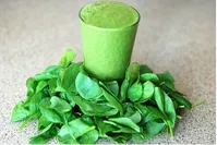 کاهش میل به پرخوری با خوردن این گیاه+تصویر
