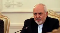 ظریف: وزارت خارجه در مقابل دوستان داخلی هم مجبور است از خود دفاع کند/خیلی‌ها با کشیدن عکس مار، جامعه را تهیج می‌کنند