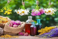 آنتی بیوتیک‌های گیاهی را بشناسید
