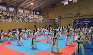 نخستین همایش بزرگ تکواندو میانه در قالب رویداد ملی «ایران جان»

 