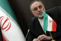 "برجام غیرقابل مذاکره مجدد"/صالحی: اگر برجام شکست بخورد، چگونه می‌خواهند کره شمالی را برای مذاکره راضی کنند؟