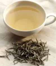 ۱۰ خواص شگفت انگیز چای سفید +طریقه مصرف