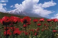 حال دماوند خوب نیست