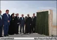 روحانی و درختکاری