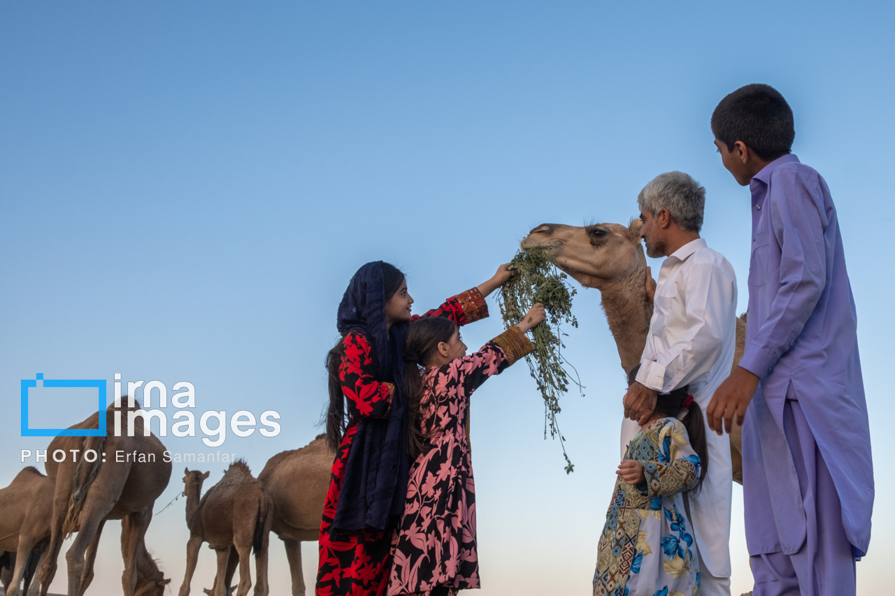 سیستان و بلوچستان