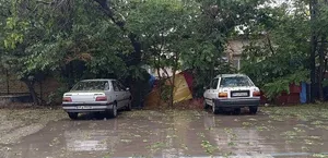 بارش پراکنده و وزش باد شدید موقتی در تهران از امروز