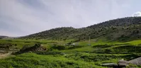 تصاویر| طبیعت بهاری در سدِ ایلام