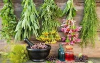 گیاهانی برای تقویت اعصاب