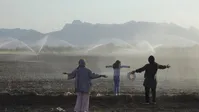 «خانواده خلج» متقاضی سینما حقیقت شد