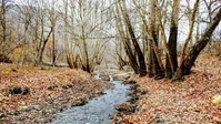 فیلم| معرفی روستای ابرده در مجاورت مشهد