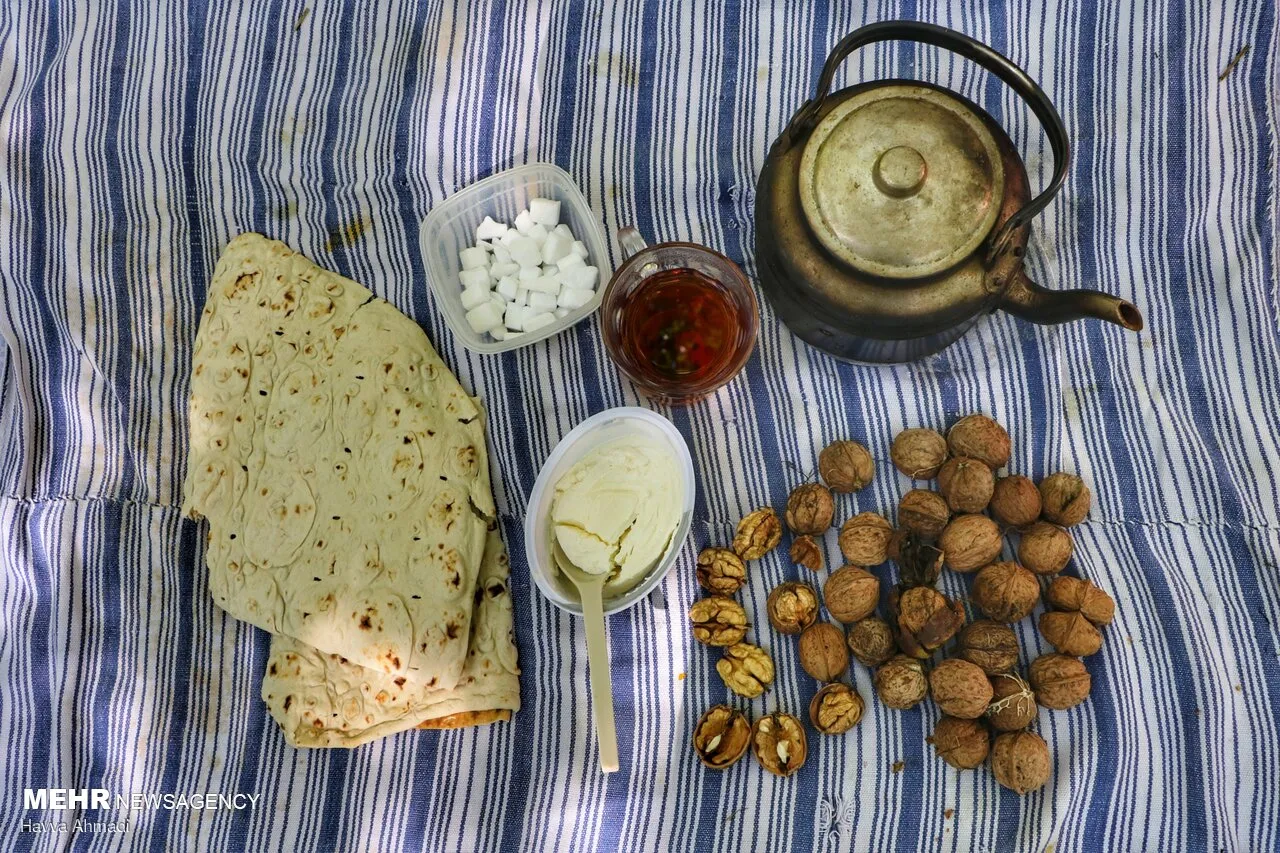 گردوچینی