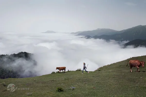 منطقه آجارا به منظره زیبای کوهستانی و ازدواج کودکان شهرت دارد.