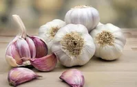 بررسی خواص"سیر" برای قلب عروق