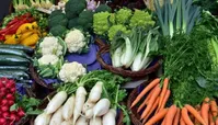 مواد غذایی ضد پیری و مناسب جوانسازی پوست را بشناسید