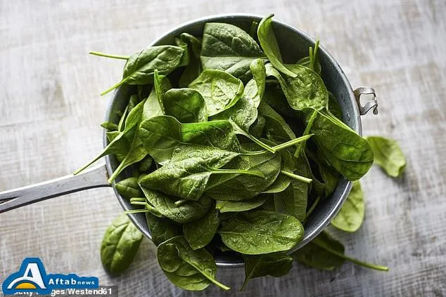 روغن زیتون