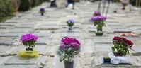کرونای انگلیسی در کشور رو به افزایش