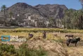 سیستان و بلوچستان