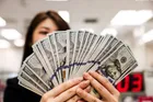 قیمت دلار، سکه و طلا امروز شنبه ۱۴۰۵/۰۳/۱۶