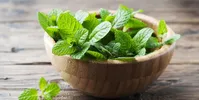 برای درمان نفخ و دل درد لب به این گیاه نزنید
